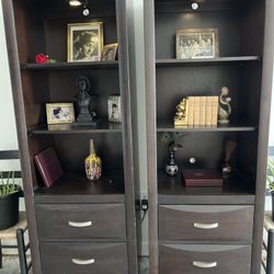 Dark Wood Book Shelves with Built In Lights 