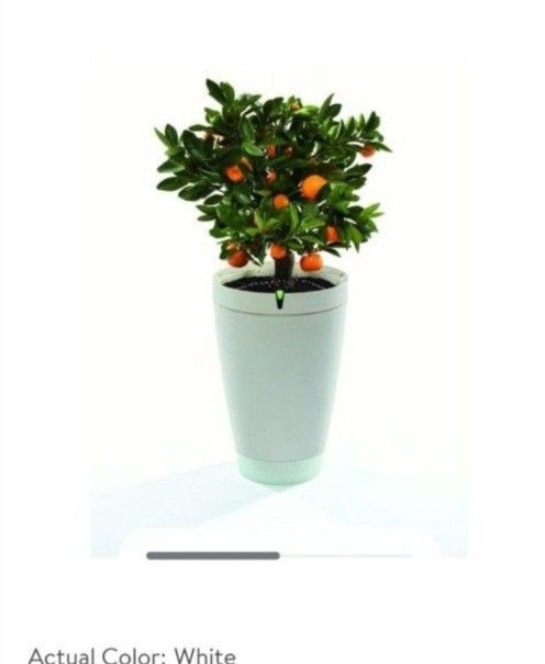 Automatic Flower Pot That Waters Itself ( Parrot Pot )