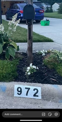 Curb painting