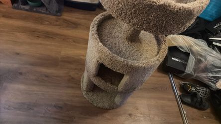 Cat post