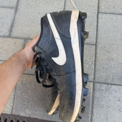 Nike Dunk Baseball Cleats