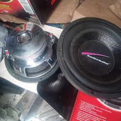 2 10" Speakers 300 Watts Each 