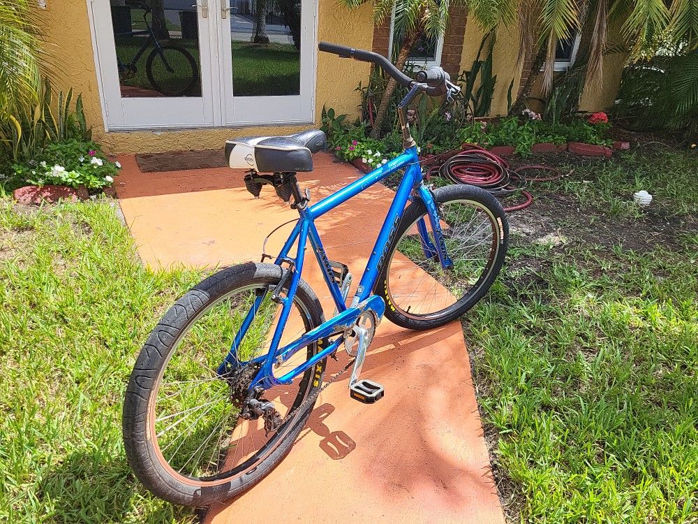 Boss Beach Cruiser XL Frame