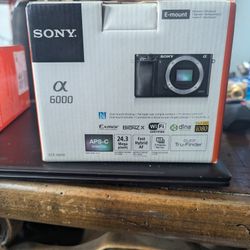 Sony Camara And Sonny Lens 