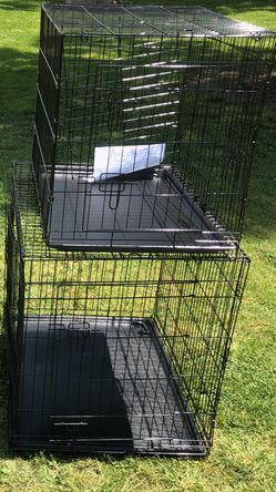 Dog kennels