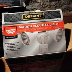 Hardwired Security Light