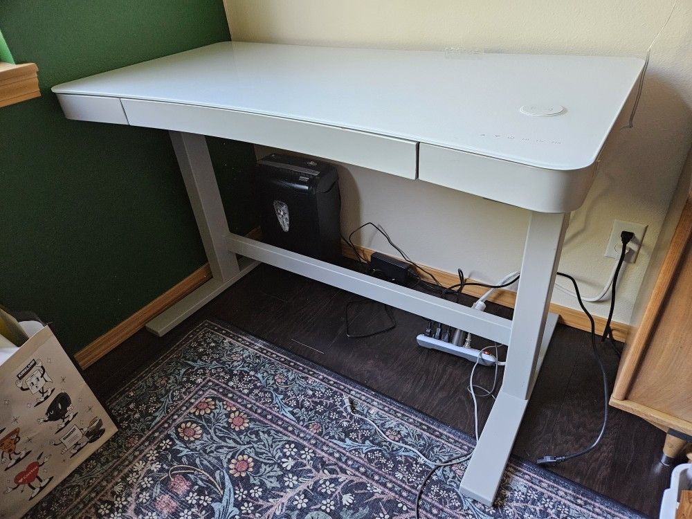 Twinstar Home Electric Adjustable Desk