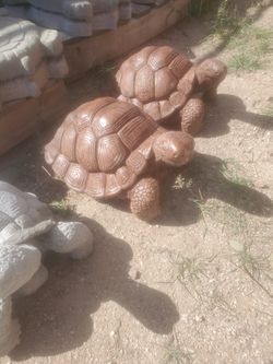 Life Size Concrete Tortoises