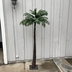 Lighted Palm Tree