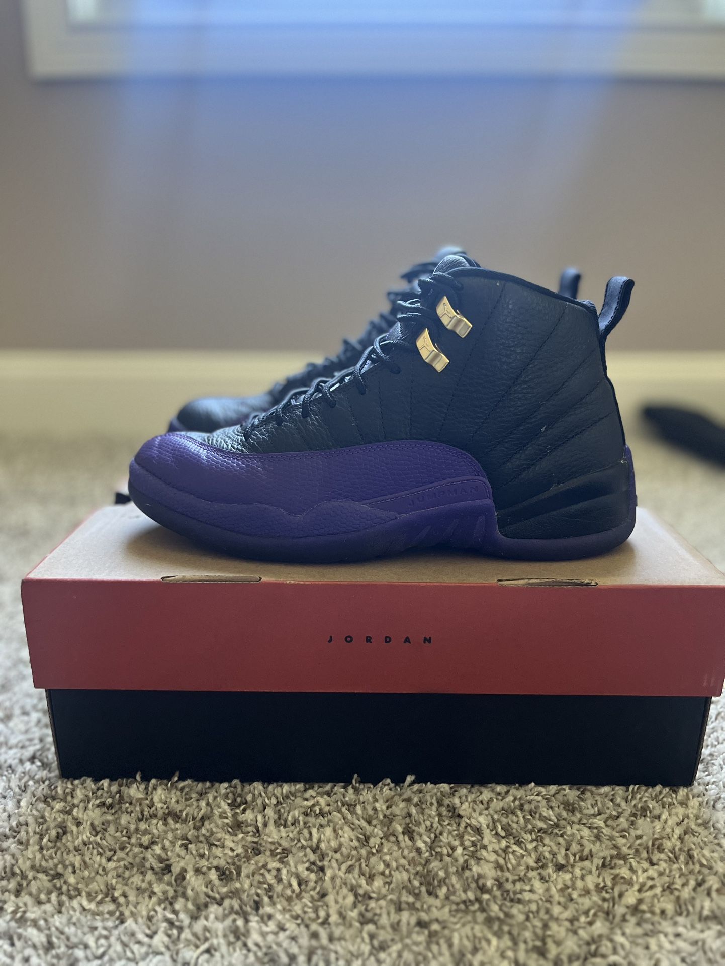 Jordan 12 Retro Purple Field
