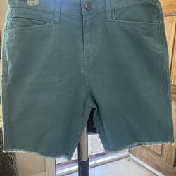 Volcom Shorts