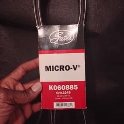 Seprtinine Belt Black 2006 Nissan Altima 