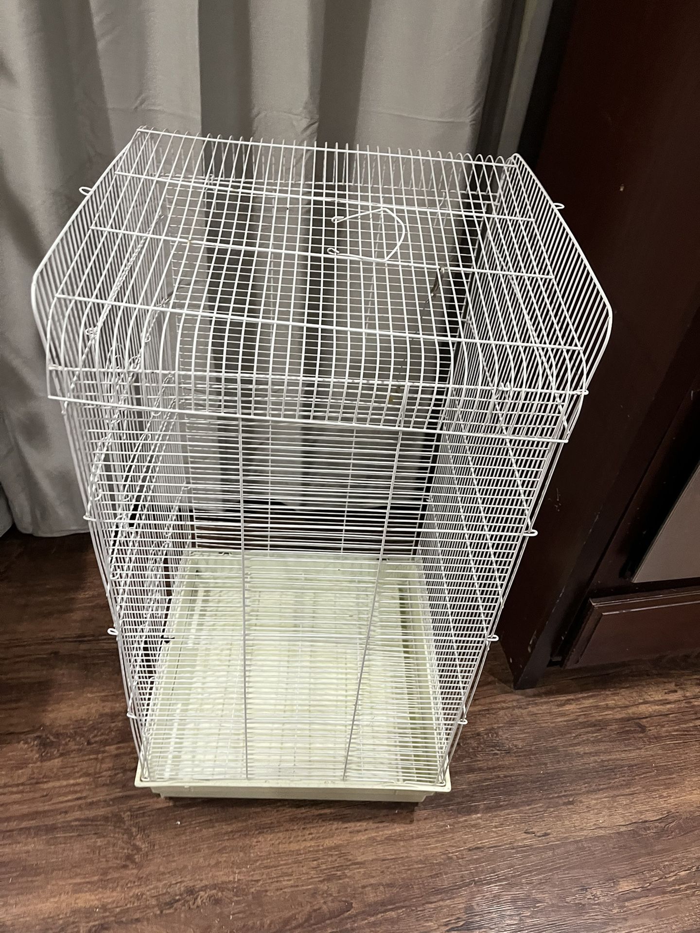 Bird Cage 