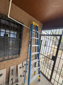 Werner 8ft Ladder