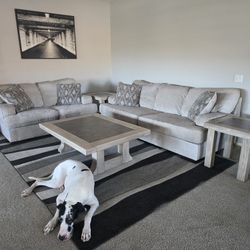 Couch, Loveseat and Tables (Bratty Dog Not Included) :o)