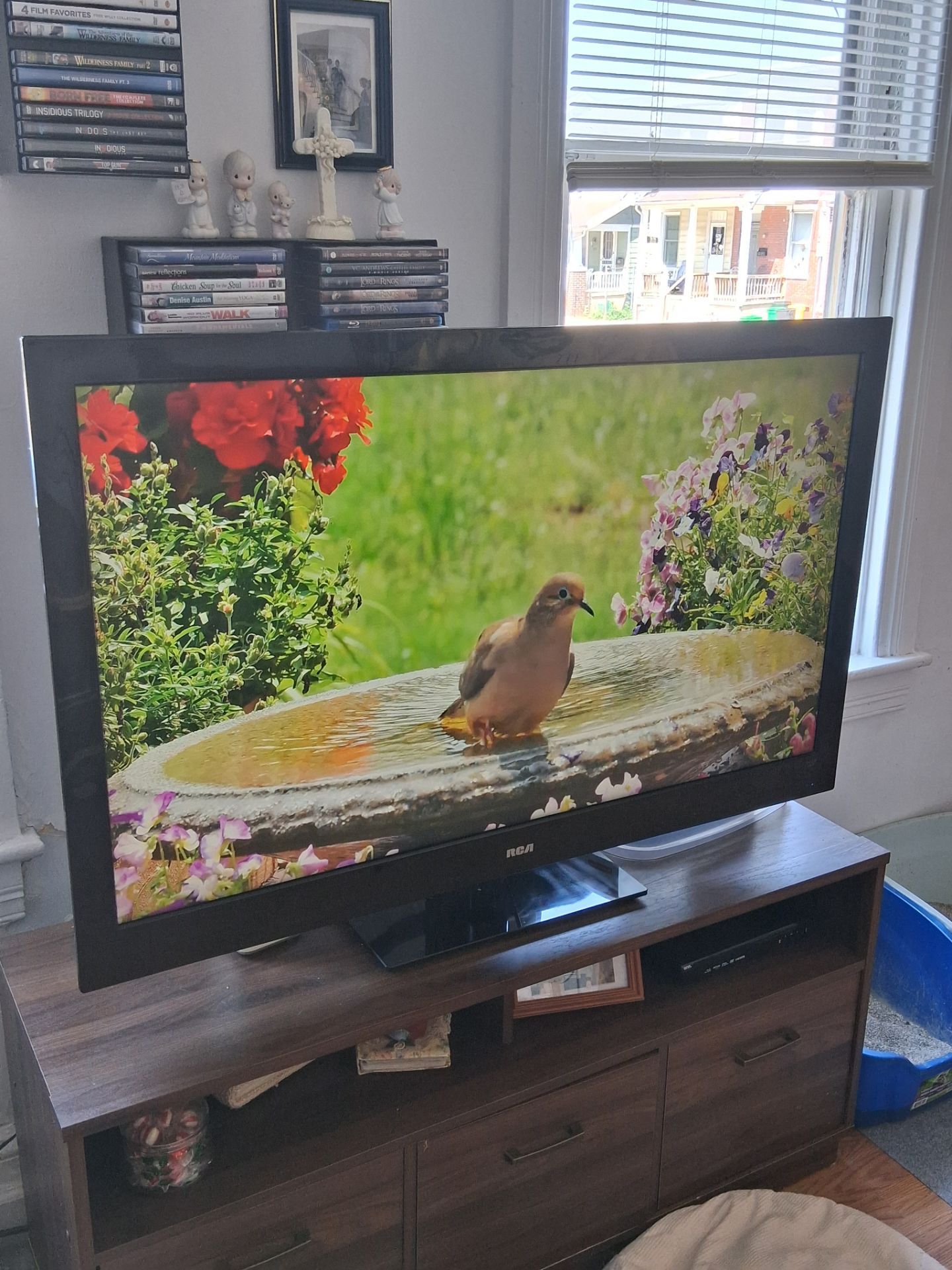 RCA 50" inch TV