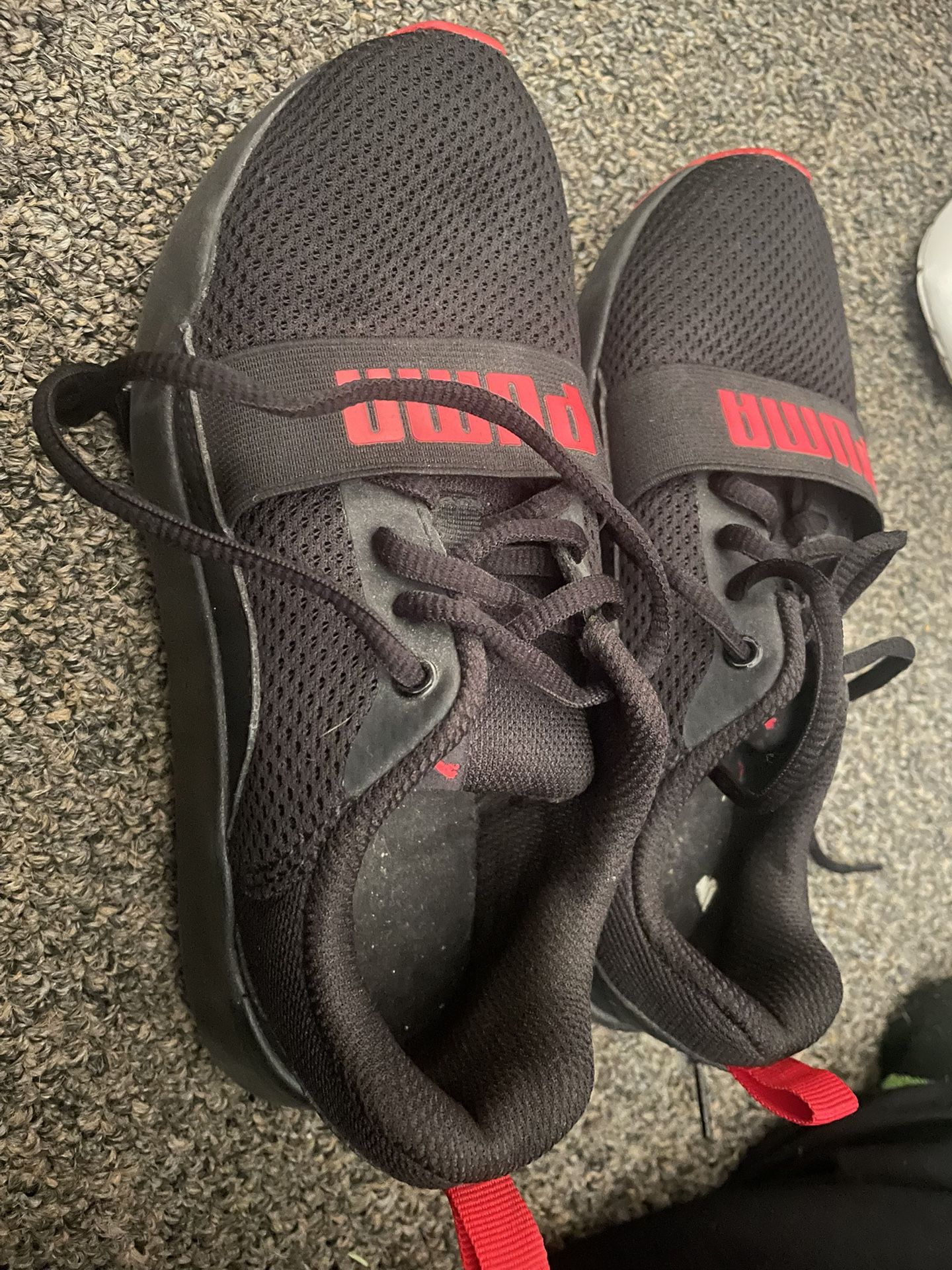 Puma Shoes (best Offer)