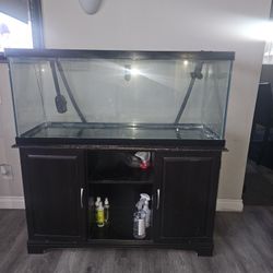 75 Gallon Aquarium 