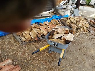 Mixed Firewood By The Wheelbarrow Full