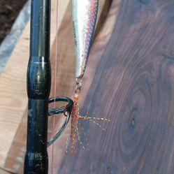 Daiwa Proteus 76 HF Saltwater Rod