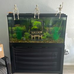 55 Gal Fish Tank