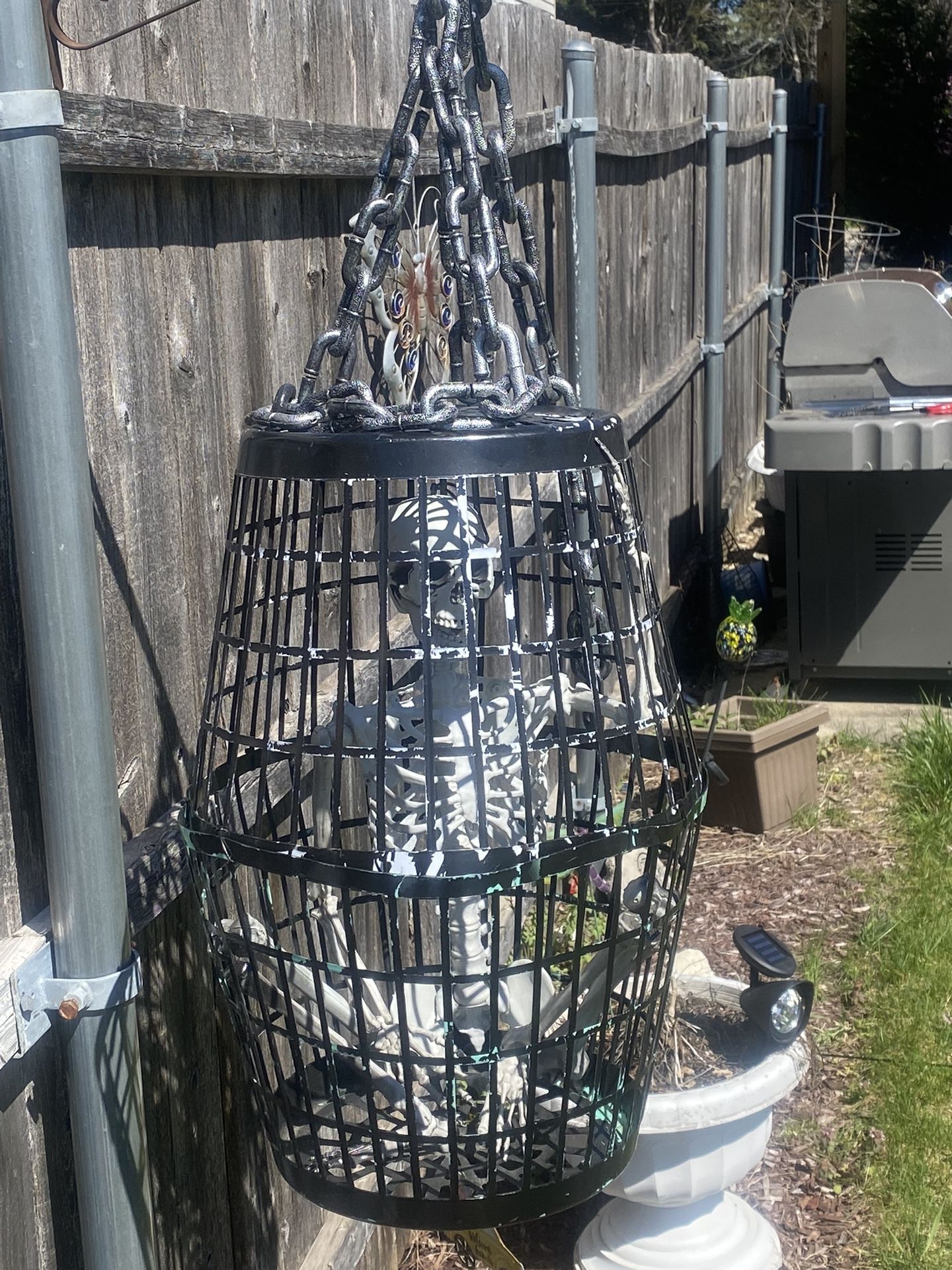 skeleton in cage (Halloween)