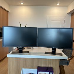 BenQ 24” Dual Monitors - GL2480-B