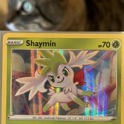 Shaymin Holo