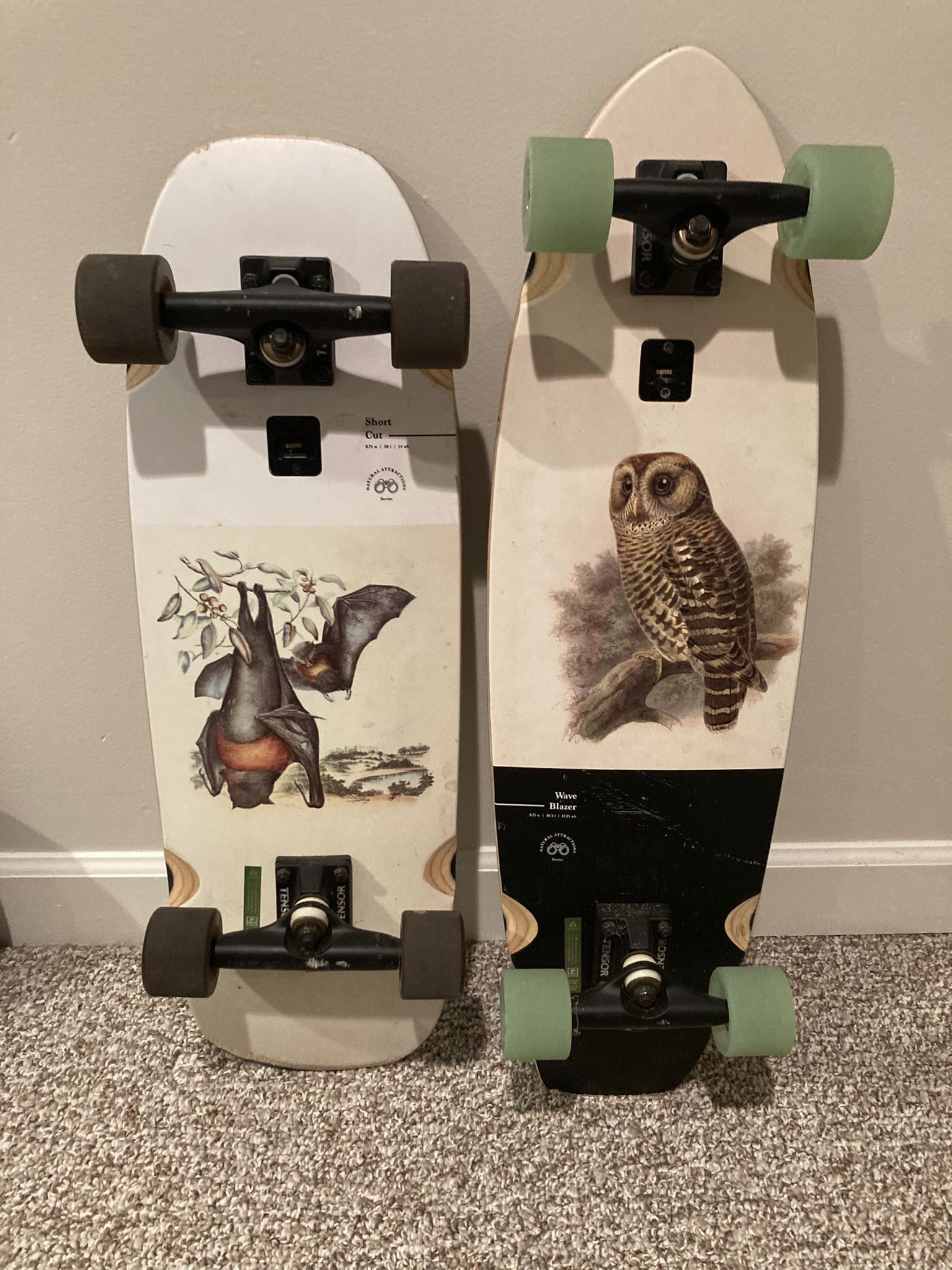 Globe Cruisers