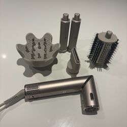 Shark Hair Styler