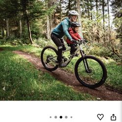 Kids Bike Seat