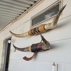 Big Horns 