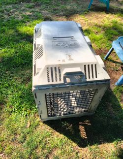 Heavy Duty Star Collapsible Pet Kennel