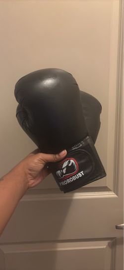 Prorobust Boxing Gloves