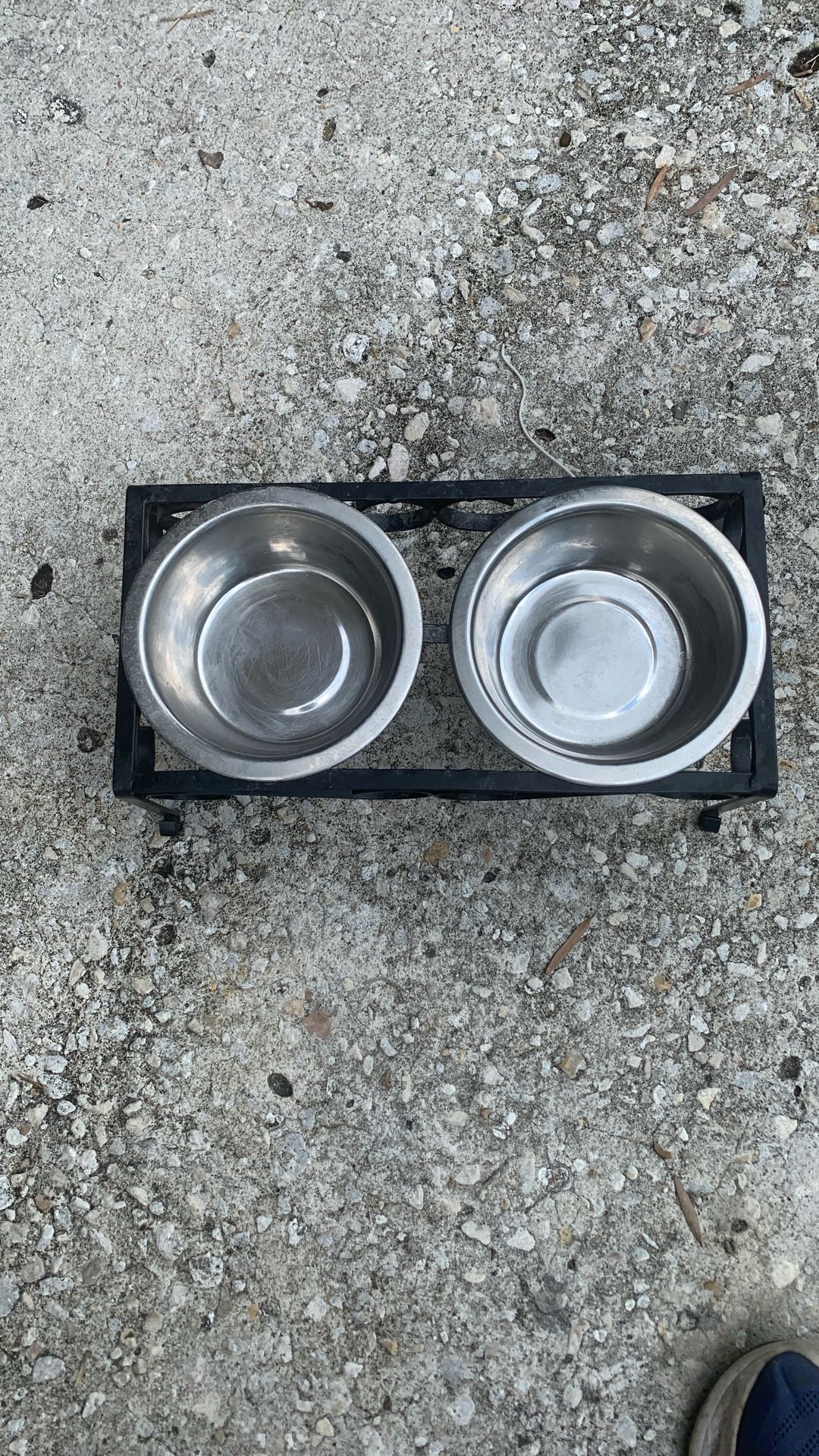 Small Dog Food And Water Bowl 5 Inch Height