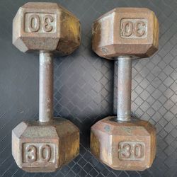 Dumbbells (30lbs Pair)