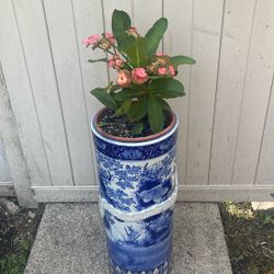 Corona De Cristo Las Dos Piezas Por $50
