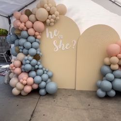 Gender Reveal 
