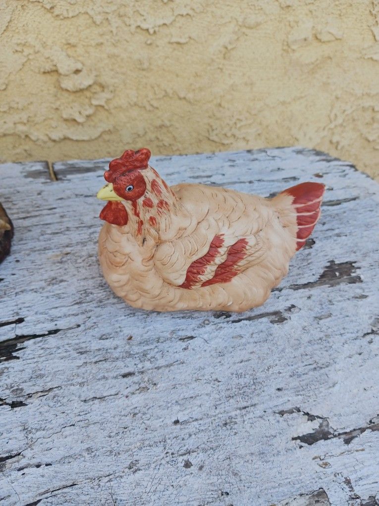 Chicken