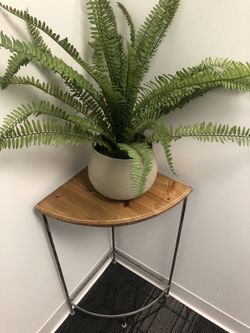 Faux Plant
