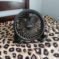 Fans 