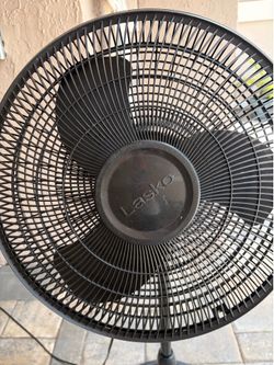 Fan 3 speed adjustable & oscillating