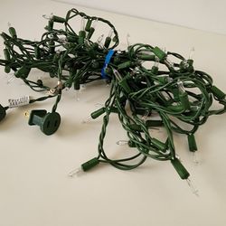 100-Led Lights Clear Bulb - Green Wire Indoor/Outdoor 