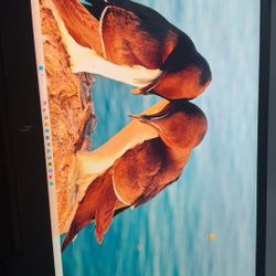 Acer Nitro 17 AN17-51-70CB 17.3" Gaming Laptop Computer Platinum Collection - Black