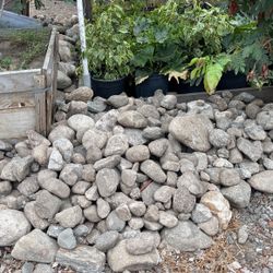 Rocks