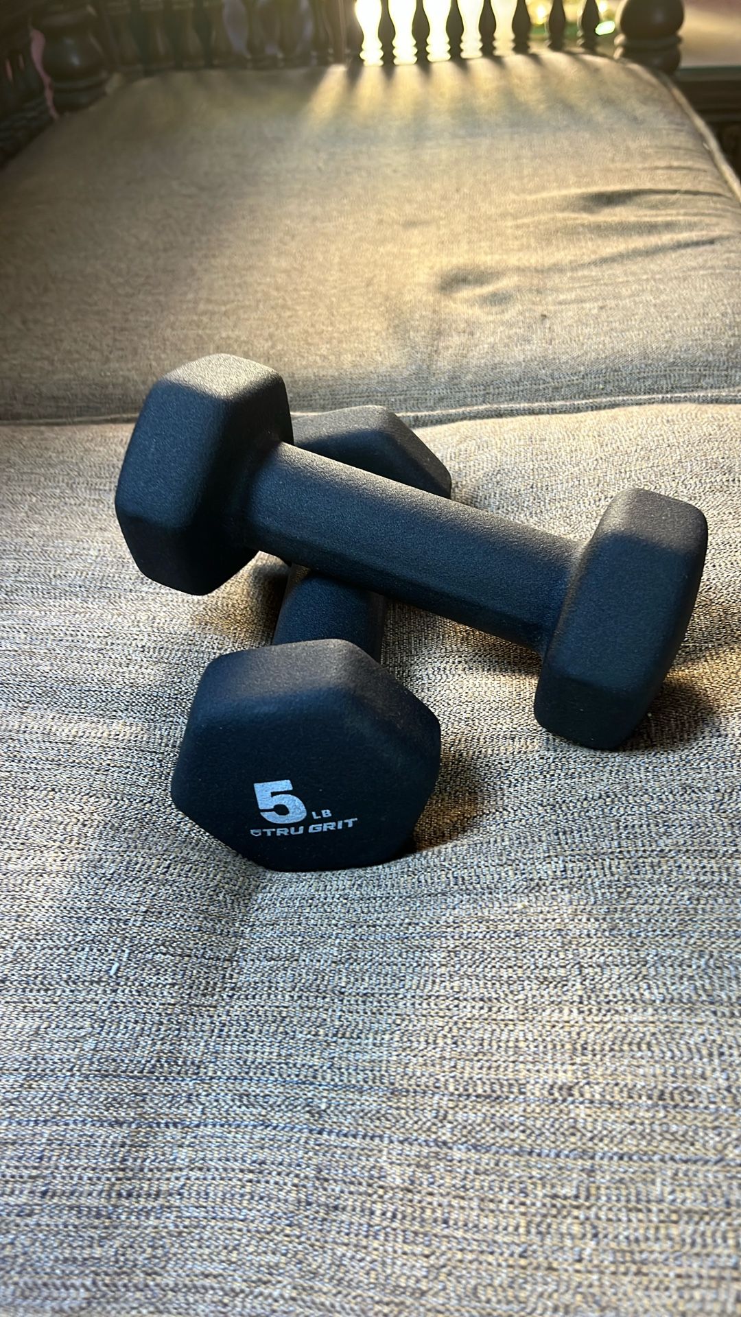 5 Pound Dumbbells