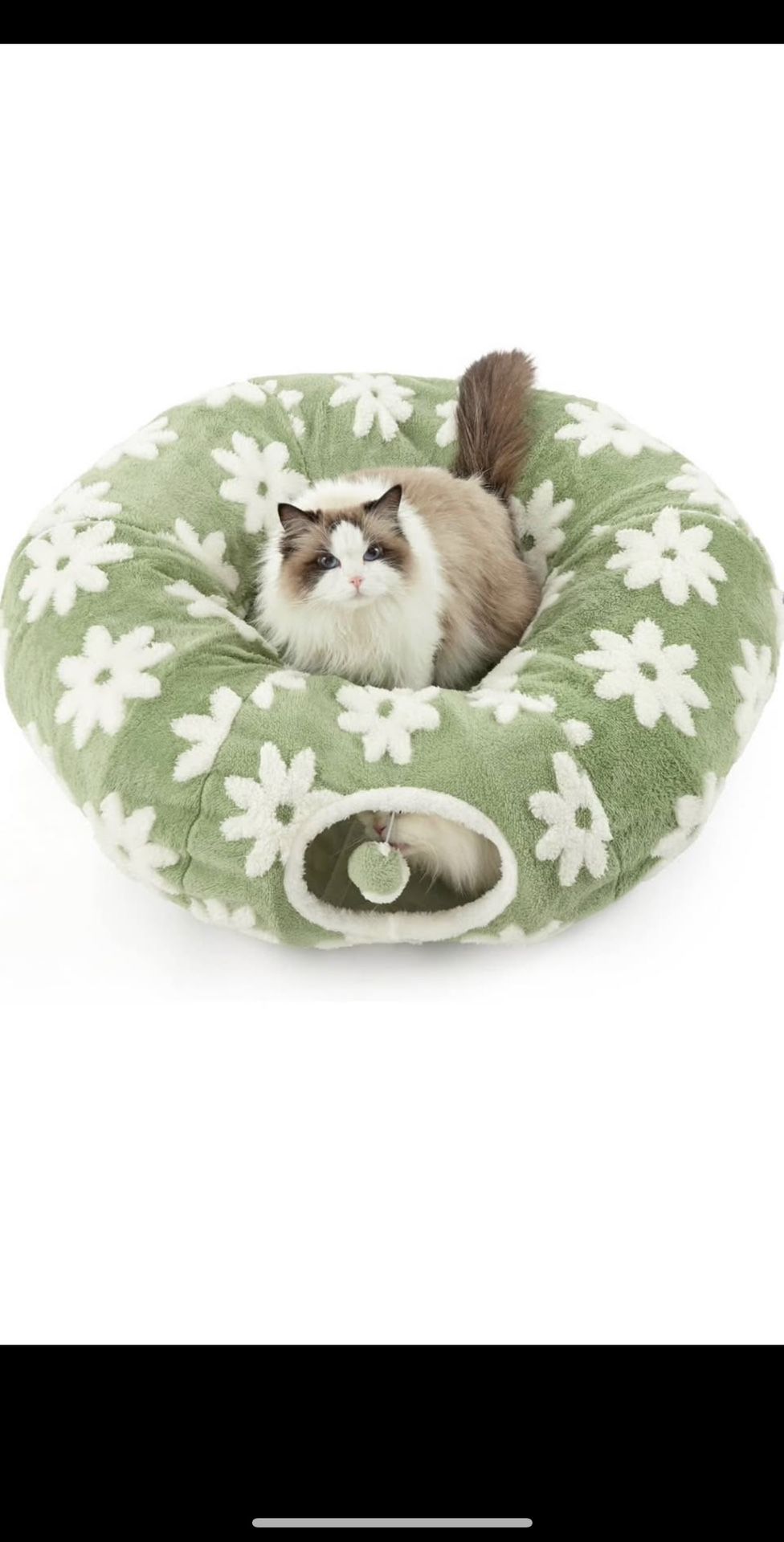 Cat Tunnel