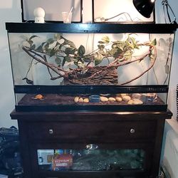 CHAMELEON + ACCESSORIES