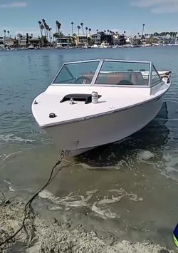 1970 Correct Craft Mustang