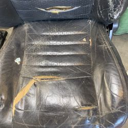 2003 Mustang Gt Seats